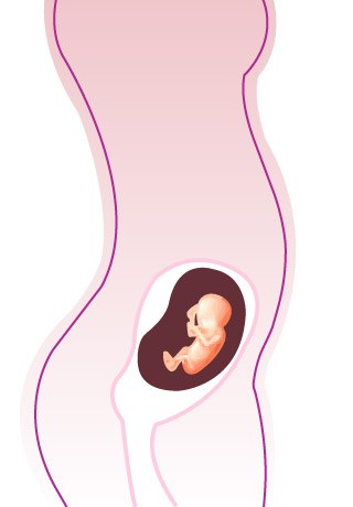 36eme Semaine De Grossesse 38 Sa Cote Bebe Et Maman 9eme Mois