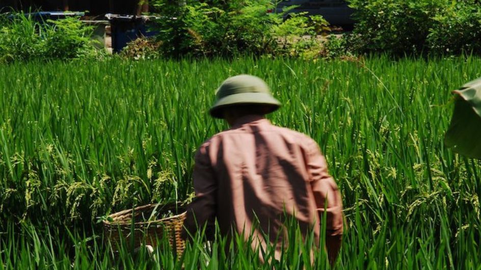 Vietnam en imágenes