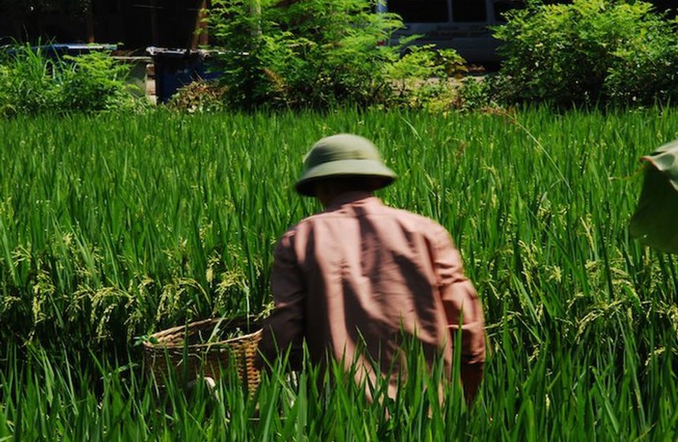 Vietnam en imágenes