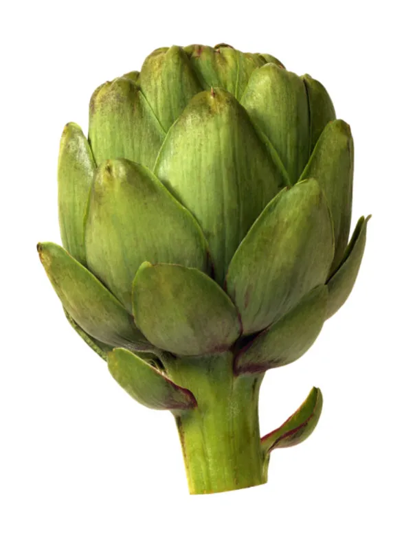 R&eacute;gime Dukan: les 100 aliments autoris&eacute;s