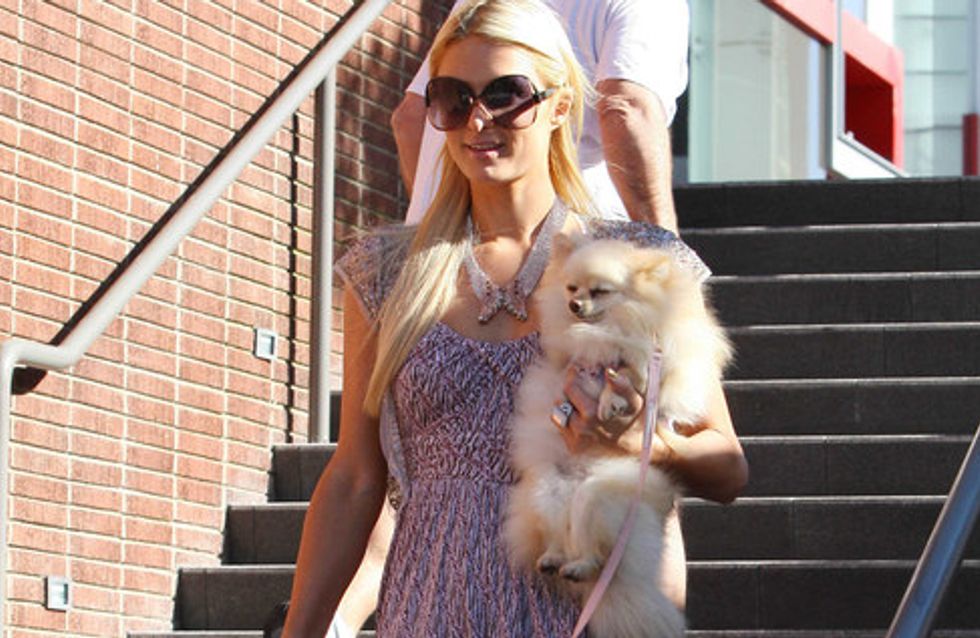 Las mascotas de las celebrities