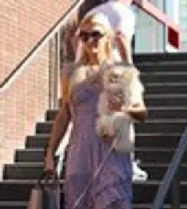 Las mascotas de las celebrities