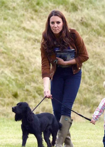 Les stars et leurs chiens