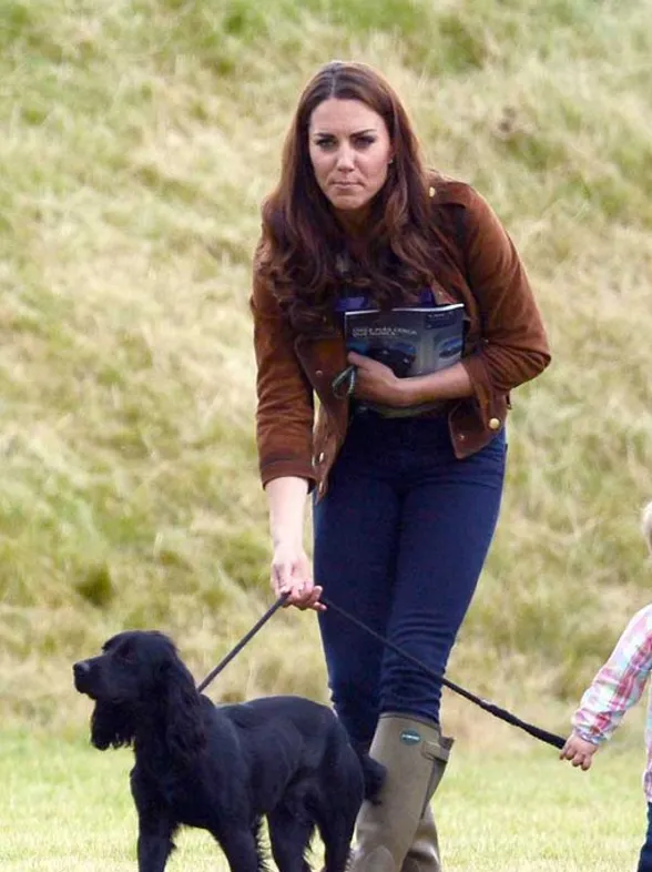 Les stars et leurs chiens