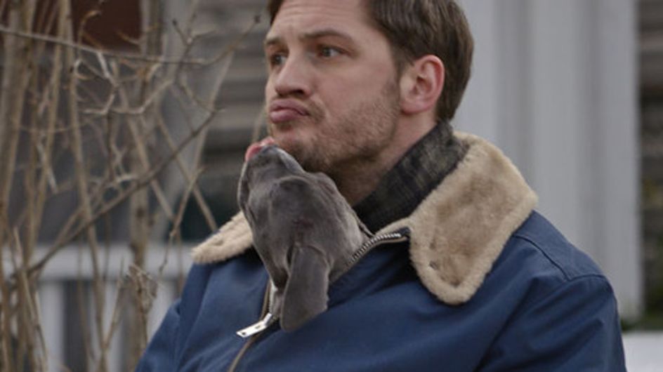 Celebrities with cute animals