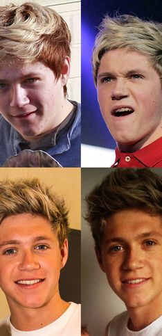 Niall Horan birthday: The One Direction star turns 20