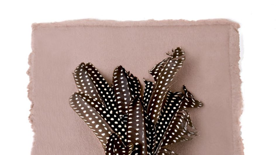 Anillos, aves del paraíso