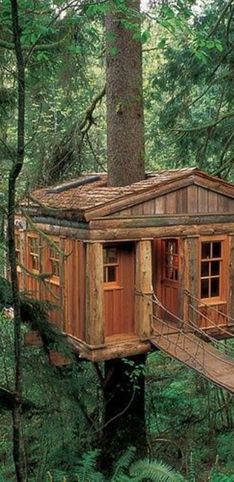 Casas originales en los bosques