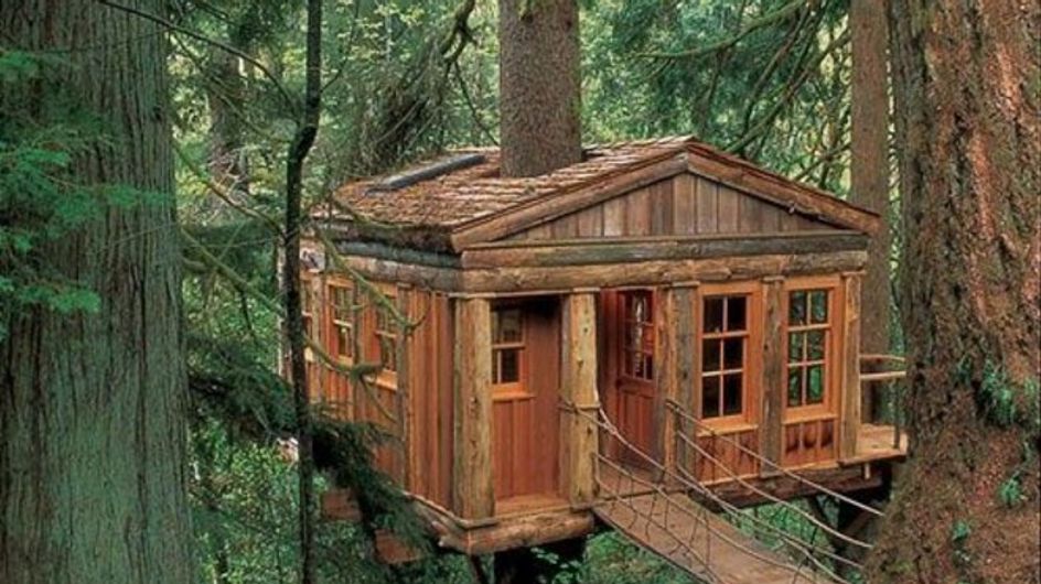 Casas originales en los bosques