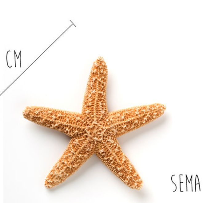 Enceinte Combien Mesure Mon Bebe Enceinte Combien Mesure Mon Bebe