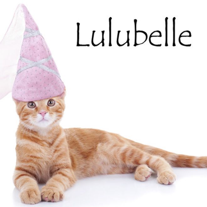 Nom De Chat Femelle 15 Idees De Noms De Chat Femelle En L