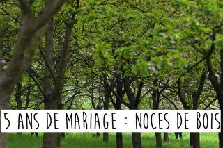 5 Ans De Mariage Les Noces De Bois