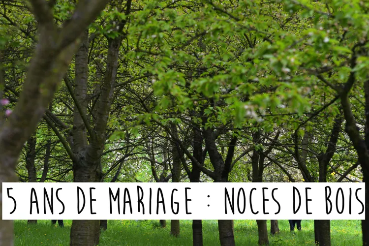 45 Ans De Mariage Comment Feter Ses Noces De Vermeil