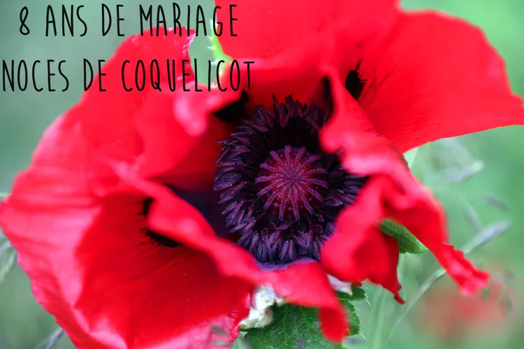 45 Ans De Mariage Comment Feter Ses Noces De Vermeil