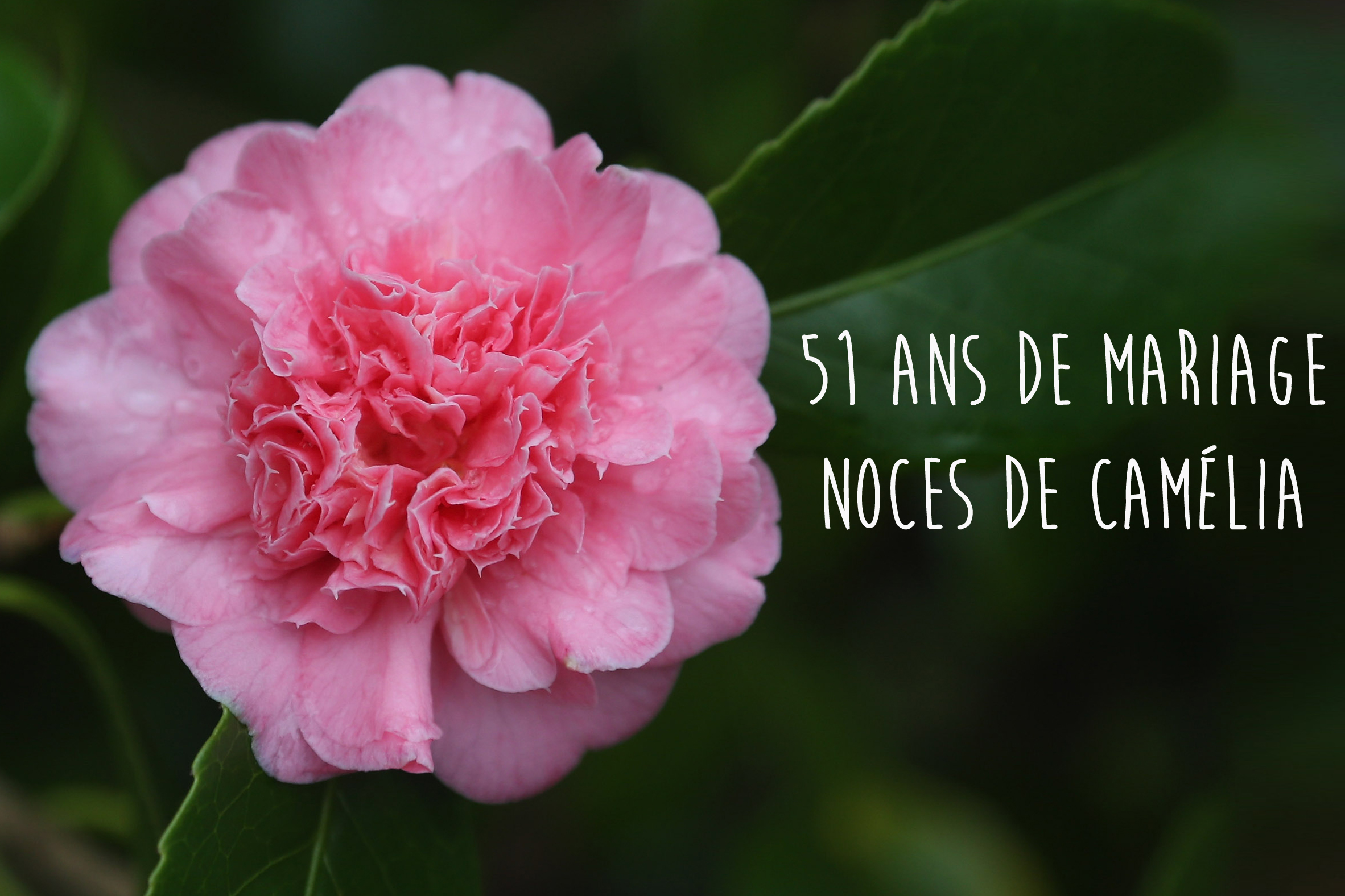 Anniversaire De Mariage Quelles Noces Feter Cette Annee