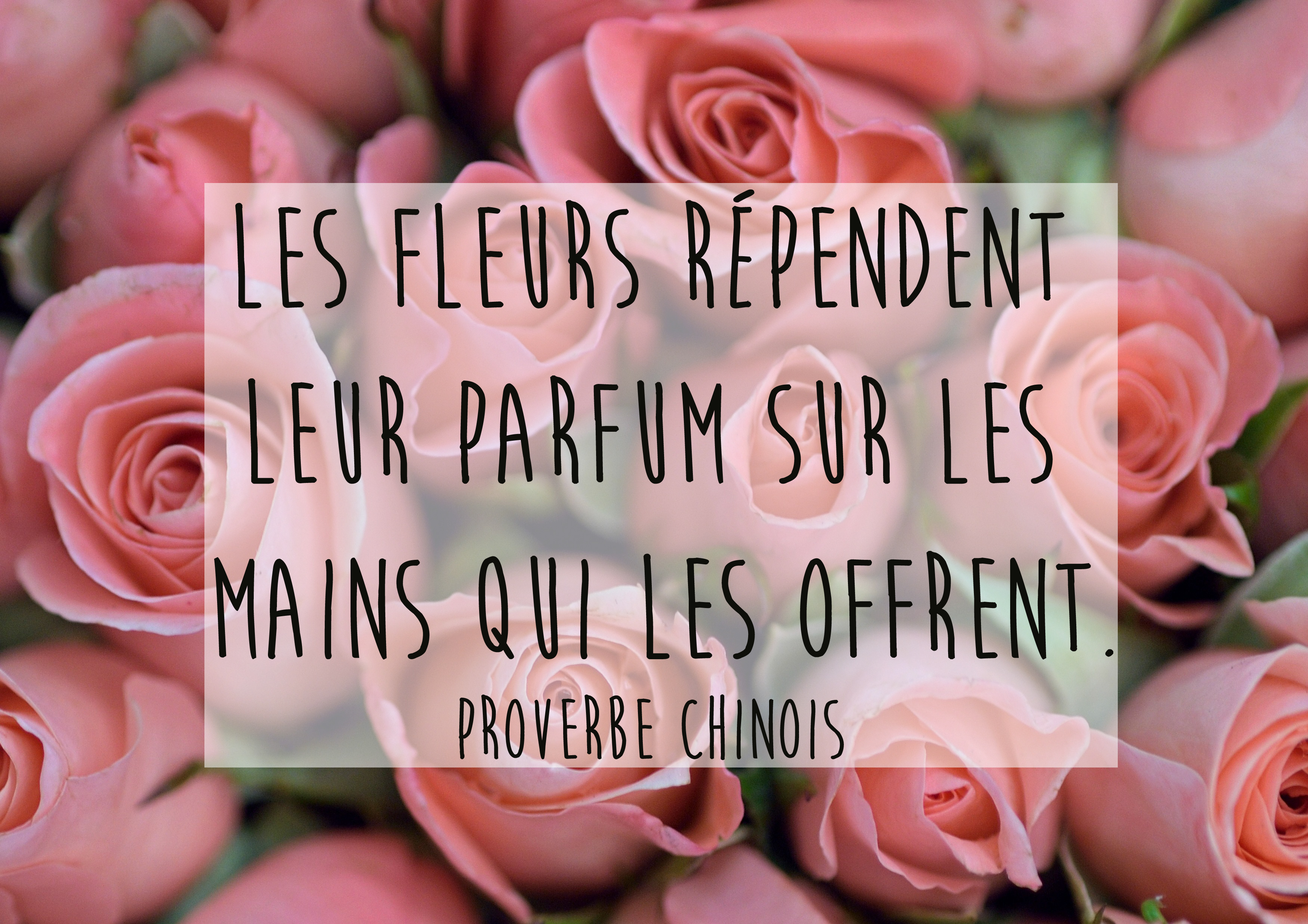 Proverbe Chinois 50 Proverbes Chinois Pour Booster Votre Journee