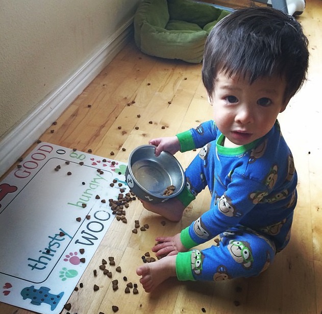 Bebe A 7 Mois Developpement Alimentation Et Jeux De Bebe 7 Mois
