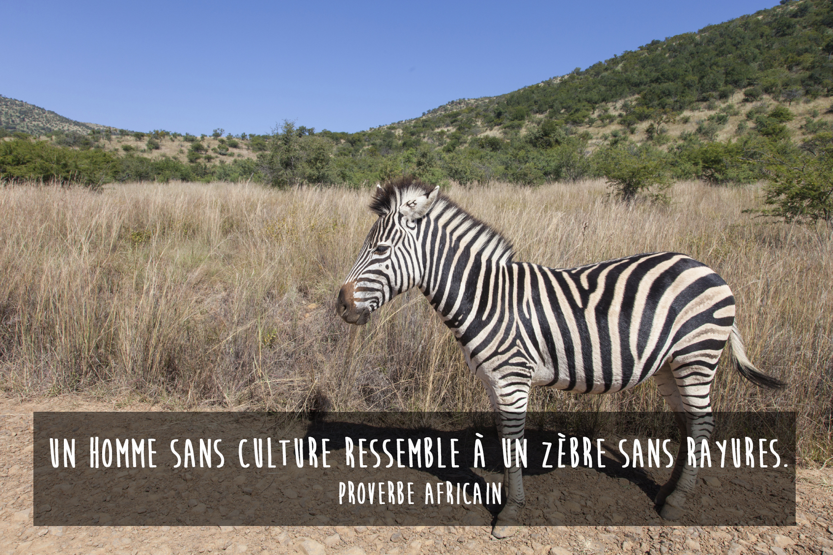 30 Proverbes Africains Qui Donnent Le Sourire