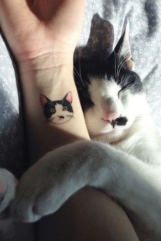 Tatouages 15 Tattoos Pour Les Fans D Animaux