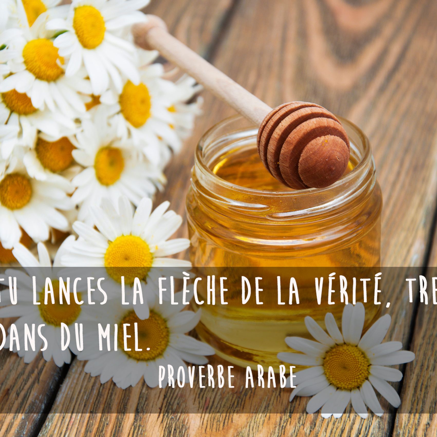 Proverbe Arabe Les Plus Beaux Proverbes Arabes