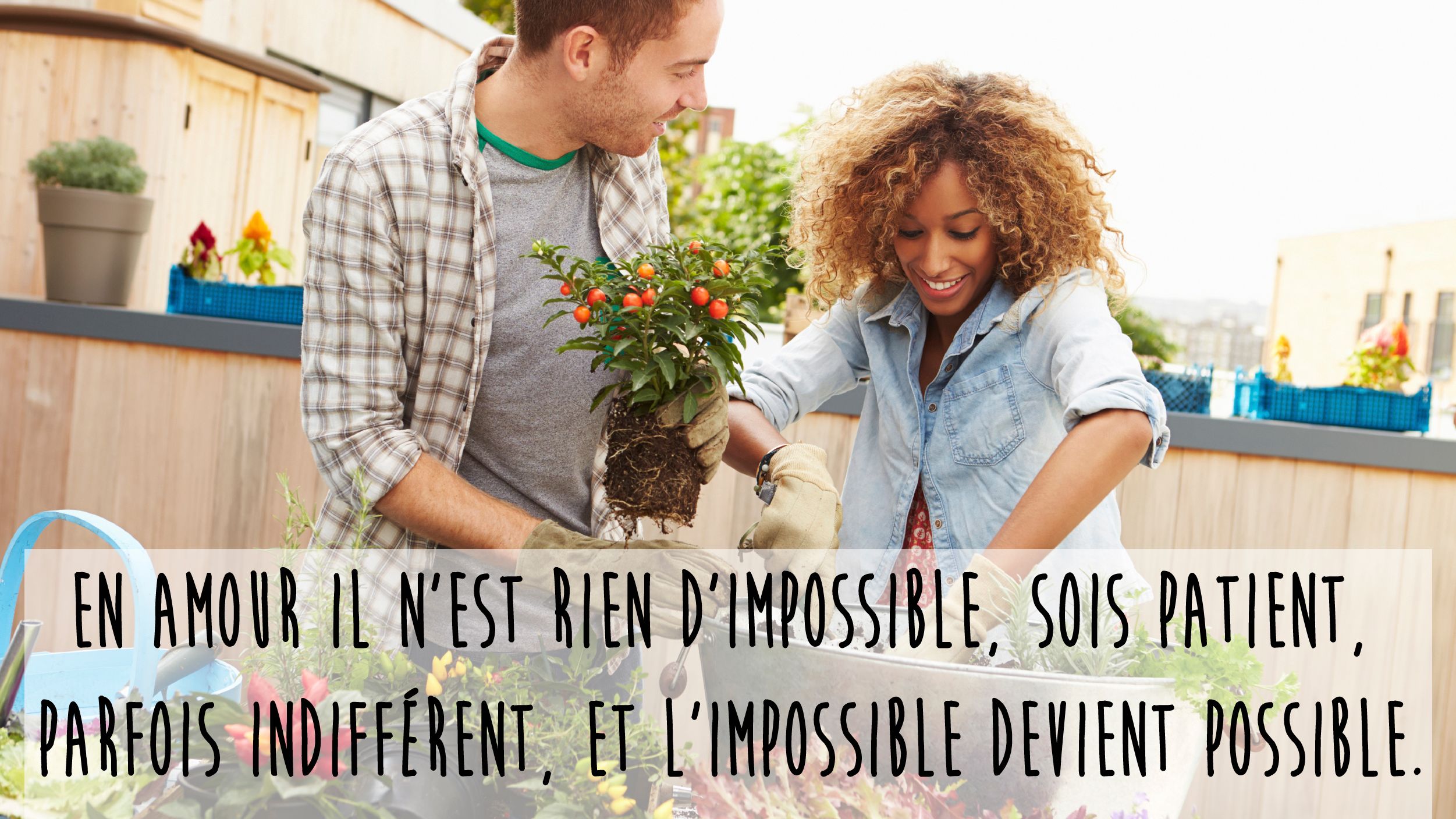 Citation Amour Impossible 30 Citations Pour Ne Pas Souffrir D 039 Un Amour Impossible Citation Amour Impossible 30 Citations Pour Ne Pas Souffrir D 039 Un Amour Impossible