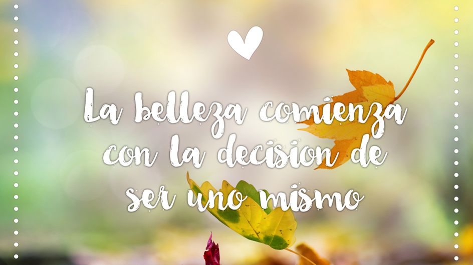 Frases del día