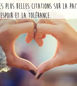 Les Plus Belles Citations Pour Faire Le Plein D 039 Amour