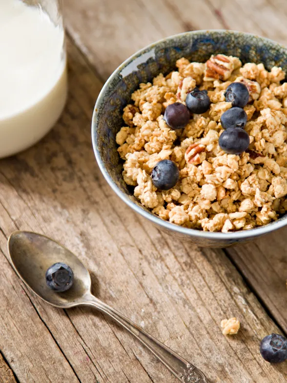 ¿Qué alimentos puedo comer durante el embarazo?