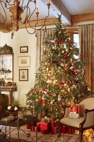 Die schönsten Weihnachtsbäume