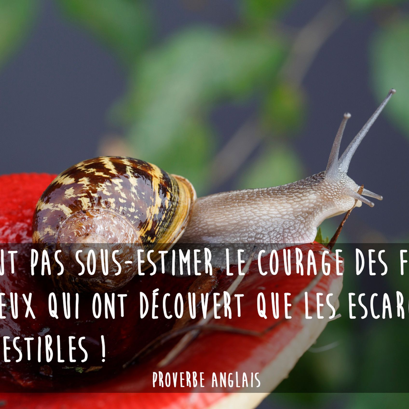 30 Proverbes Anglais Pour Relativiser