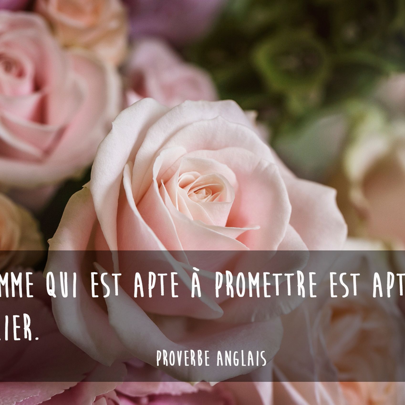 30 Proverbes Anglais Pour Relativiser