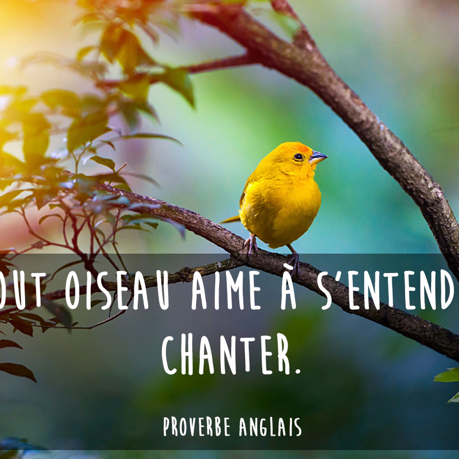 30 Proverbes Anglais Pour Relativiser