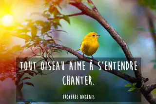 30 Proverbes Anglais Pour Relativiser