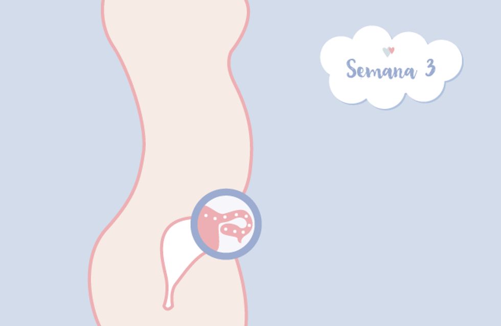 ¡Sentimientos a flor de piel! Descubre cómo es el embarazo semana a semana