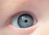 Tanto Per Divertircicolore Degli Occhi