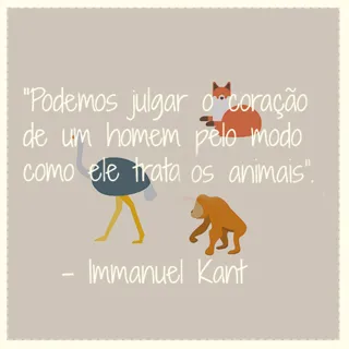 Frases para amantes de animais