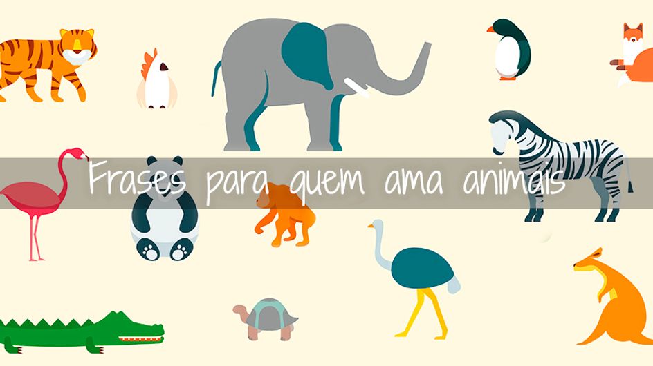 Gosta de animais? Essas frases irão derreter seu ♥