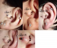 Piercing Tragus Questions Problemes