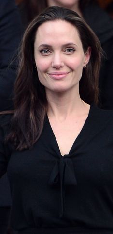 Angelina Jolie, símbolo de elegancia y solidaridad