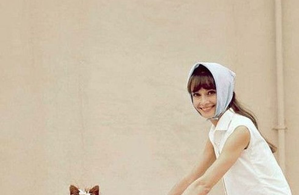 Dog Lover: você precisa ver estas adoráveis fotos...