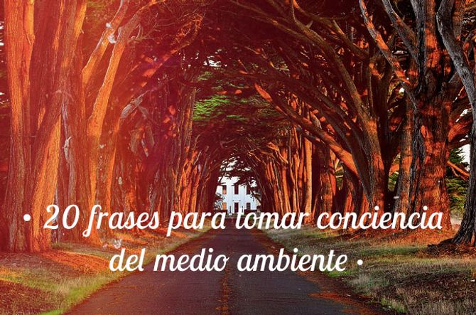 Cuidar la Tierra es cuidarnos a nosotros mismos
