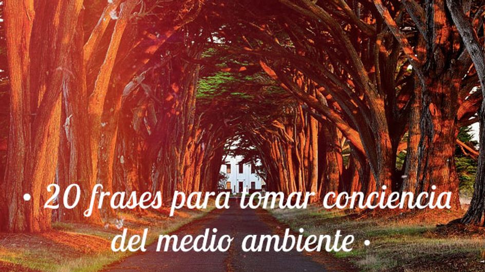 ¡Día Mundial del Medio Ambiente! Frases inspiradoras para cuidar el planeta