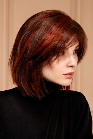 Cheveux Noirs Et Bruns Coloration Pour Cheveux Noirs Et Bruns