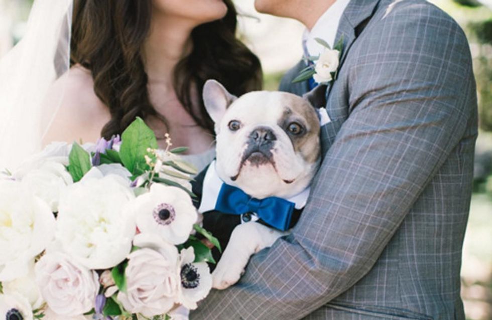 #Instadog: fotos de cachorros participando de casamentos <3