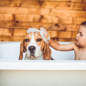 ¡Al agua patos! Convierte su baño en una rutina divertida