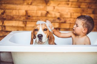 ¡Al agua patos!