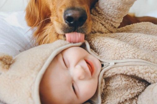 Crianças e bichinhos que vão derreter até o mais gelado dos corações