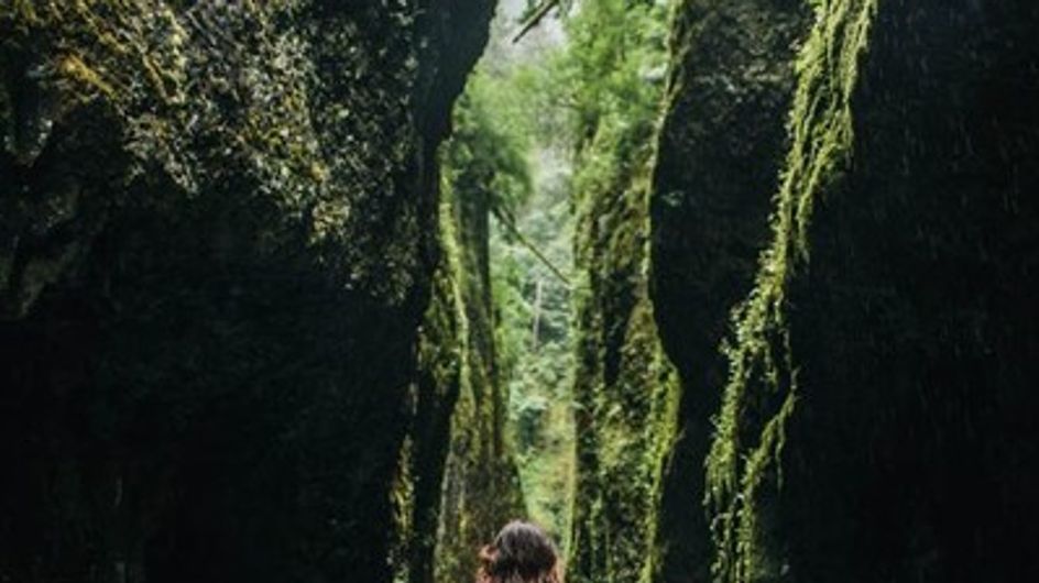 Fotos de casamento na floresta para um final de conto de fadas