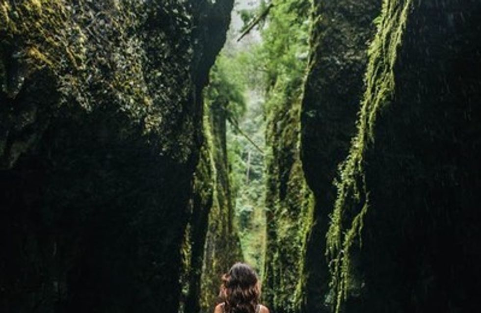 Fotos de casamento na floresta para um final de conto de fadas