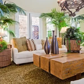 ¡Oda a las plantas! Macetas de diseño para el hogar